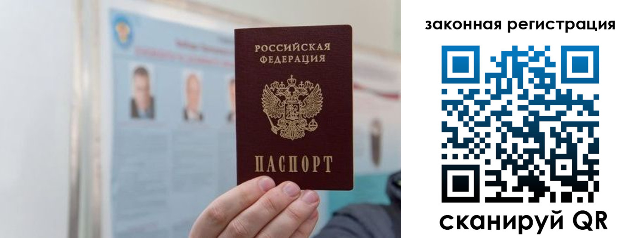 прописка законно в Электрогорске