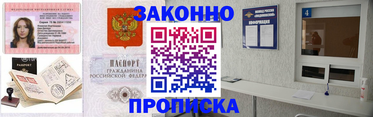 прописка в квартире в Электрогорске